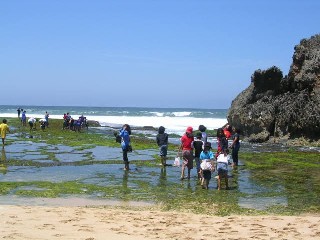 Pantai (Strand) Kupuk